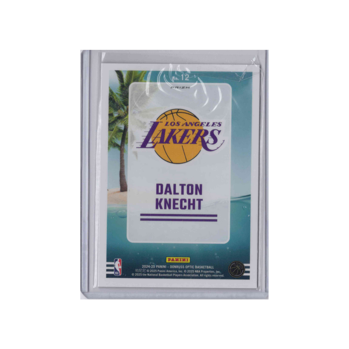 2024-2025 Donruss Optic Splash | Dalton Knecht RC | Purple Prizm