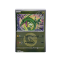 2026 Pokémon Ascended Heroes | Rayquaza #153/217 | Reverse Holo (Energy Symbol Pattern)